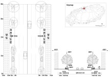 [보고서]도로 및 환경유형별 가로수 조성·관리 모델 개발