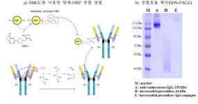 [보고서]광견병 항체 현장 검출용 바이오 센서 개발