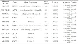 [보고서]농가 맞춤형 신개념 수정란 이식 기술 프로그램 개발 및 산업화