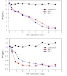 [보고서]하폐수처리용 미세조류 선발/배양 최적화와 바이오연료 생산으로의 재활용 기술 개발