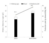 [보고서]하폐수처리용 미세조류 선발/배양 최적화와 바이오연료 생산으로의 재활용 기술 개발
