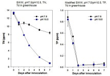 [보고서]하폐수처리용 미세조류 선발/배양 최적화와 바이오연료 생산으로의 재활용 기술 개발