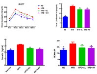 [보고서]전통식품 phytochemicals의 생체이용 해석 연구