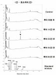 [보고서]전통식품 phytochemicals의 생체이용 해석 연구
