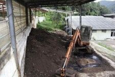 [보고서]돼지사료와 슬러리의 발효기질 선발과 축산발효액 순환에 의한 돈사악취 저감기술 개발