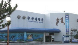 [보고서]해양과학공원 마스터플랜(안) 수립 기획연구