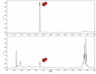 [보고서]국내산 자생식물을 이용한 체력증진용 기능성 제품 개발 및 산업화 한국산 겨우살이를 이용한 기능성 음료 개발