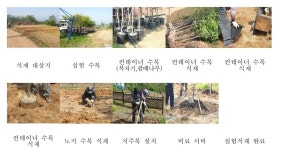 [보고서]탄소저감형 도로수목 시공, 유지관리 기술개발