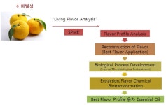 [보고서]생물전환기술을 이용한 유자 정유의 Flavor Profile 증진 및 제품화 기술을 통한 자생유자의 산업화