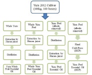[보고서]생물전환기술을 이용한 유자 정유의 Flavor Profile 증진 및 제품화 기술을 통한 자생유자의 산업화