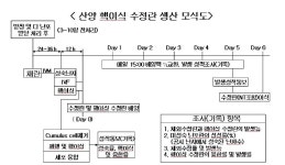 [보고서]산양에 있어서 생식세포의 포괄적 이용에 의한 규모화 인공수정, 수정란이식 및 핵이식 수정란 생산기술 확립