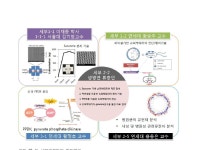 [보고서]메타지놈 기반 난배양성 슈퍼박테리아 분석 기술 개발