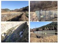 [보고서]충청권 소규모 농촌마을(리 단위)의 자체운영 가능한 저비용.자연친화형 하수처리 시스템개발