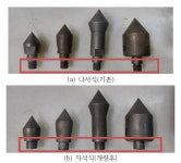 [보고서]수원국 연약지반 특성에 적합한 기초 및 지반보강 기술의 현지화
