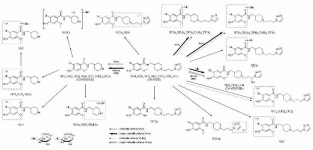[보고서](임상1상) 신규 과민성 대장증후군 치료제, DA-6886의 임상 1상 연구