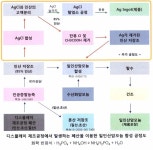 [보고서]OLED 디스플레이 제조공정에서 발생하는 폐산을 이용한 일인산암모늄의 제조 및 은(Ag)의 회수방법