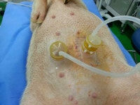 [보고서]가슴확대 의료기 이브라 성능개선을 위한 신제품 기술개발사업