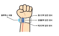 [보고서]자가 진맥을 통한 모바일 헬스케어시스템 개발