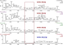 [보고서]해외식물을 이용하여 천식 및 COPD 치료제 전임상 후보 개발