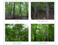 [보고서]수변녹지 및 생태벨트 조성기술 개발