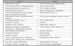 [보고서]나노물질의 표적장기별 독성평가 기반 연구