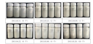 [보고서]미세조류 변이주 개발을 통한 미백 및 주름개선 기능성 화장품 소재 산업화