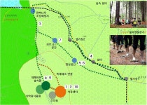[보고서]향적산 치유의 숲 조성 등 타당성 조사