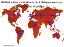 [보고서]지속형 인터페론알파(HM10660A)의 임상 및 제품화기술개발