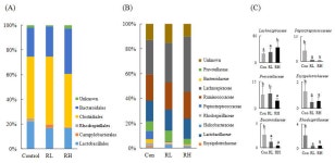 [보고서]고려인삼의 지속성장을 위한 신규소재 기반 연구