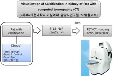 [보고서]선도형 당뇨병 및 대사성질환 신약개발 연구사업단
