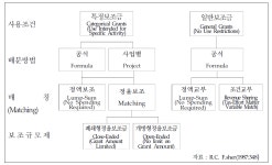 [보고서]소방재정 확충 및 중·장기 재정 투자 방안