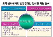 [보고서]발달장애인 재활 · 의료지원체계 구축에 관한 연구 대표 이미지