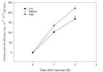 [보고서]식물의 환경개선 효율 극대화를 위한 근권부 조건 구명