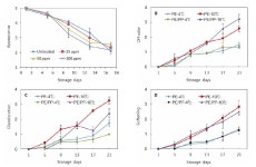 [보고서]수출입 대응 신선편이 농산물의 유통기한 설정 및 선도유지 기술 연구