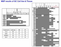 [보고서]한국인 호발암에서 에피지네틱 바이오마커 발굴 및 표적 치료제의 개발과 응용