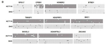 [보고서]한국인 호발암에서 에피지네틱 바이오마커 발굴 및 표적 치료제의 개발과 응용
