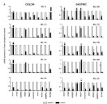 [보고서]한국인 호발암에서 에피지네틱 바이오마커 발굴 및 표적 치료제의 개발과 응용