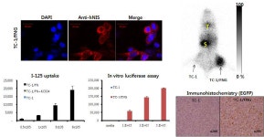 [보고서]세포치료술의 효능증대 및 평가를 위한 방사선 기반 기술 개발