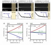 [보고서]이온농도분극/이온전계 현상을 이용한 에너지/환경/의료용 나노유체역학 장치 개발