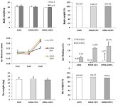 [보고서]생체지표를 이용한 면역독성 평가기술 개발 연구