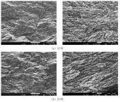 [보고서]Bio-inspired 경량 나노복합 에코소재 기술 탐구