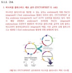 [보고서]SOX trio가 이입된 연골재생 기능강화 지방줄기세포 치료제 리포카티젠TM의 개발