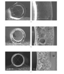 [보고서]불활성기체충진장치(On Board Inert Gas Generating System)용 고투과성 고분자 멤브레인 소재의 개발
