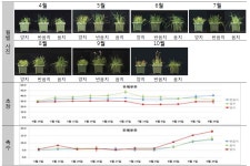 [보고서]도시 옥외 공간 정원식물의 일조환경 식재적합도 평가기술개발