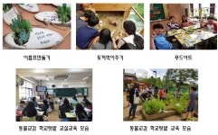 [보고서]초등학교 텃밭정원 조성 및 운영 매뉴얼 개발