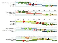 [보고서]농업분야 국외협력 대비 북온대지역에 적용 가능한 텃밭모델 개발