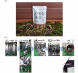 [보고서]콜로이드 가공기술을 이용한 멀티기능성 산양삼 두유 개발