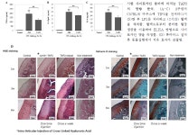 [보고서]신규 TLR 면역조절인자 발굴