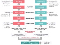 [보고서]다낭신 동물모델을 이용한 낭포 형성 질환 관련 microRNAs 대량 발굴 및 질병 타겟 제시