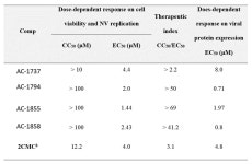 [보고서]노로바이러스 RNA 복제 저해제 AC-1737의 항바이러스 메커니즘 연구
